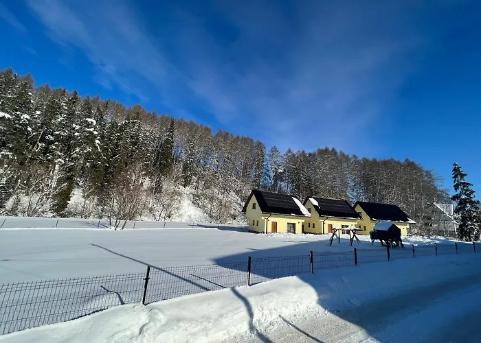 Pod Grapa Holiday home